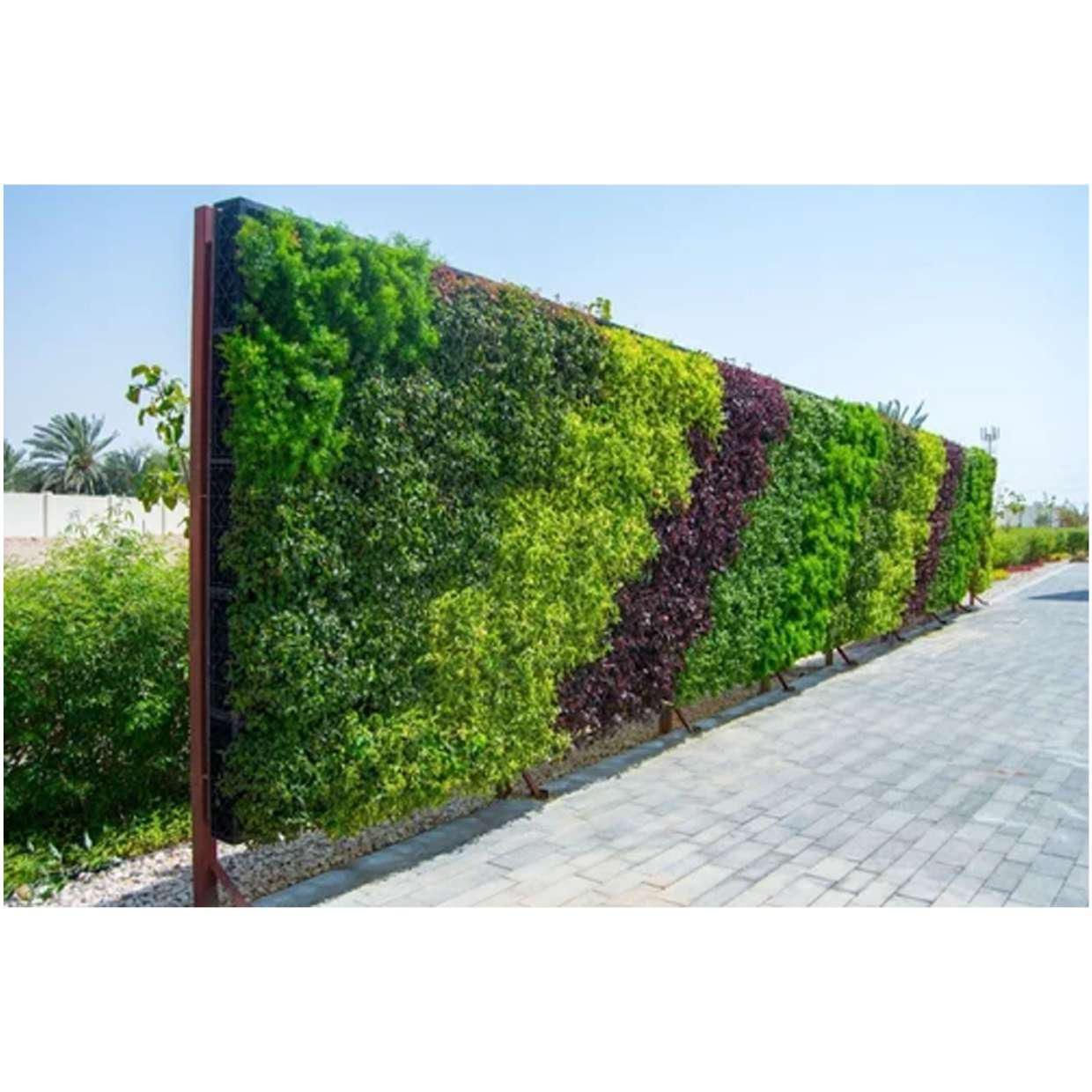 Ghar Sansar - Natural Vertical Grass 7